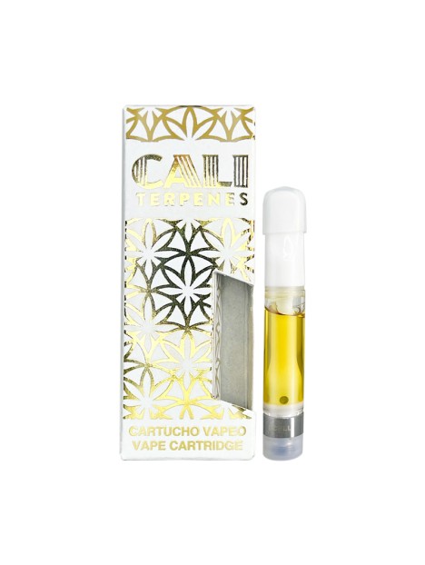 CARTUCHO AMNESIA 
